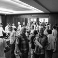 IMG 3974